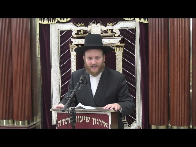 דיני סתם יינם - ר‘ בן ציון יהושע גיפס שליט“א