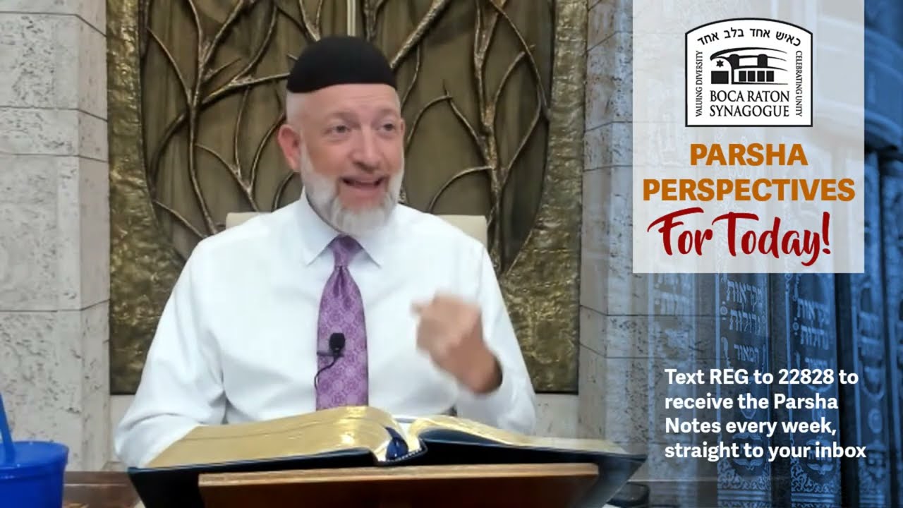 Parsha Perspectives for Today (Shoftim, 5782) - If You're Disconnected You are Dead Even While Alive