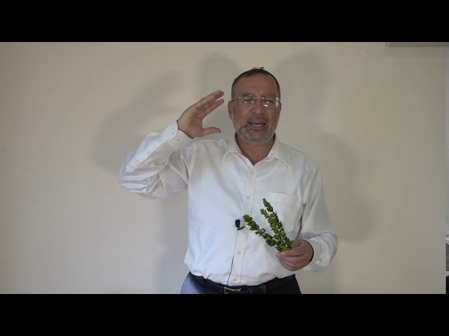הלכות ארבעת המינים- הדגמה חיה | לחסות בנועם ה'- בכל לבבך לנוער | הרב בן- ציון אלגאזי