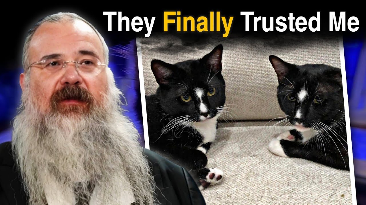 What Cats Taught Me About Trust, Trauma, and Healing