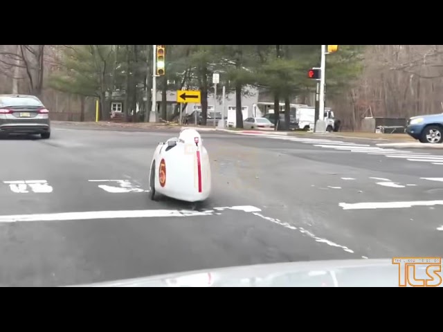 What is this?! Spotted in Lakewood
