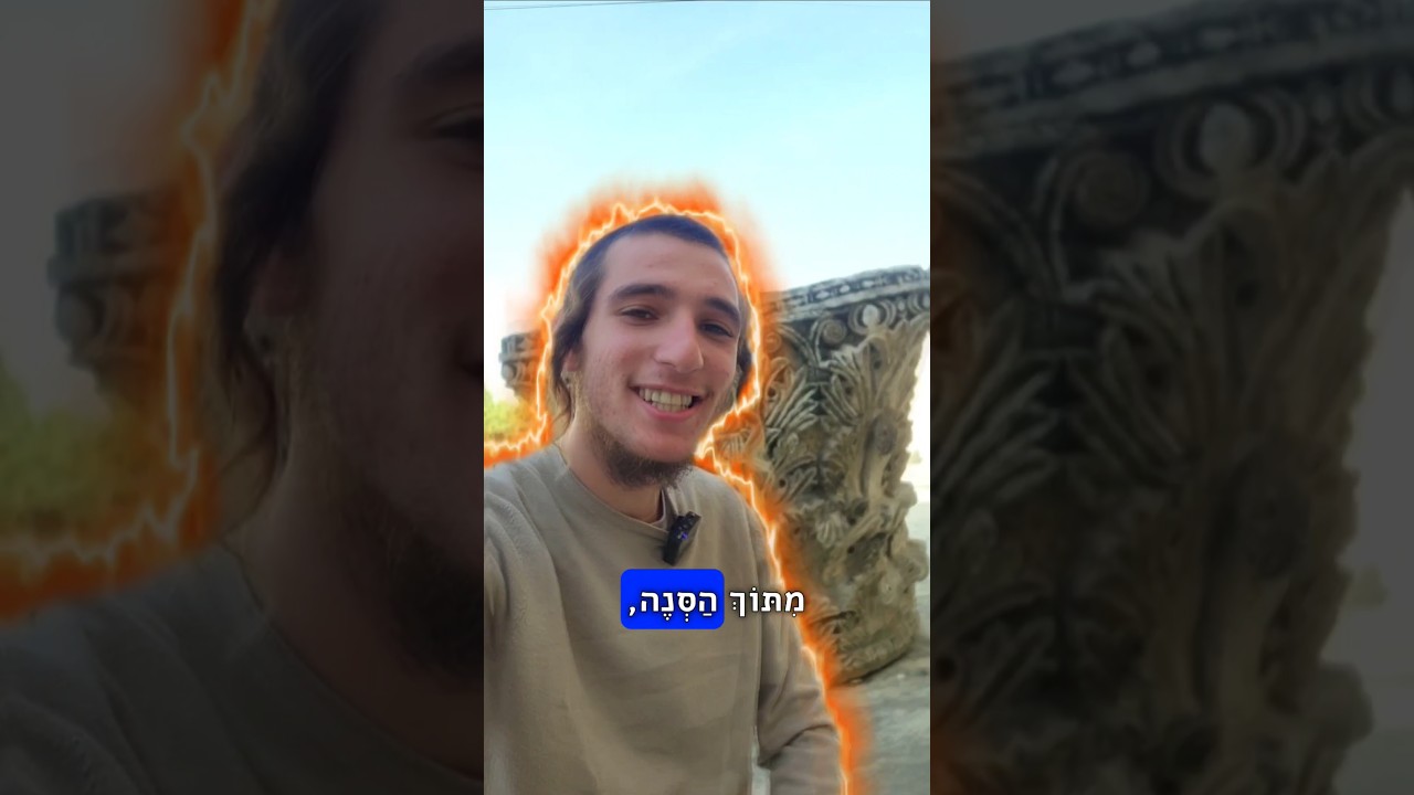 אלקנה וולפסון: סוף סוף תבינו את זה!🤔