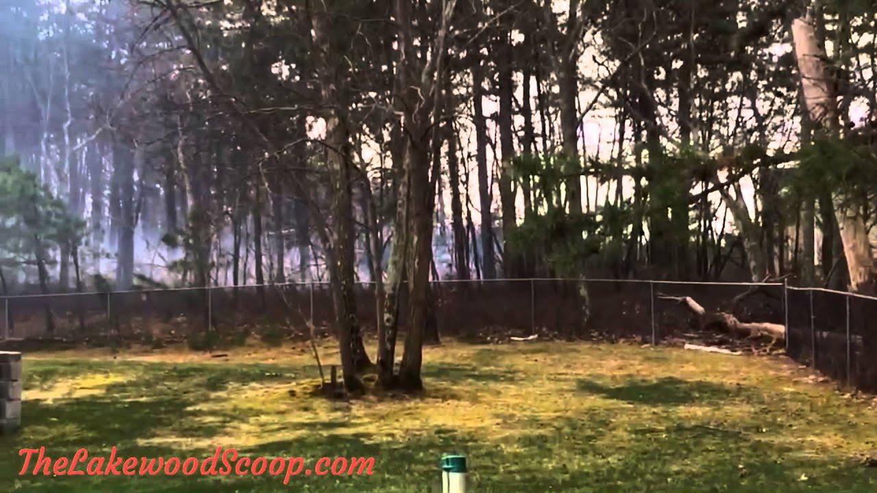 Brush fire Lakewood