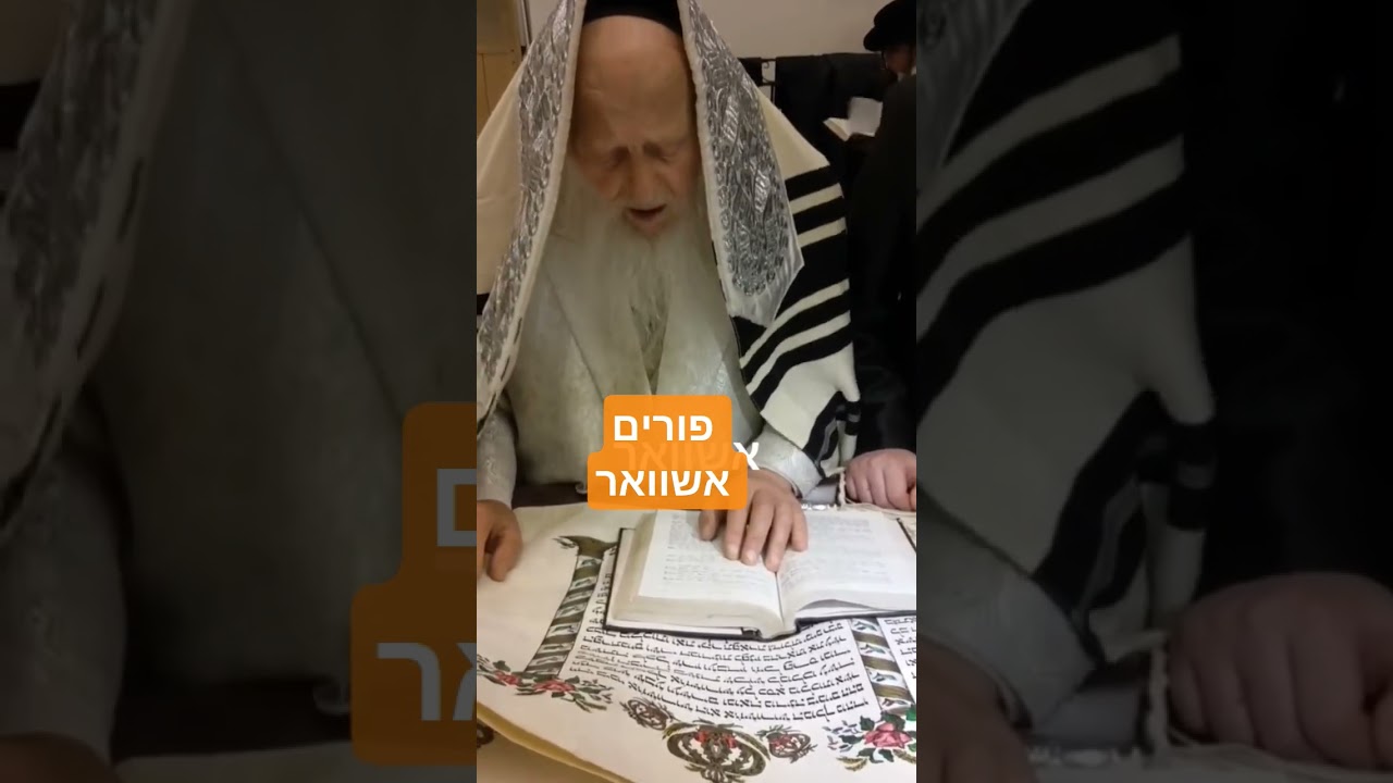 #פורים #אשוואר #רבי