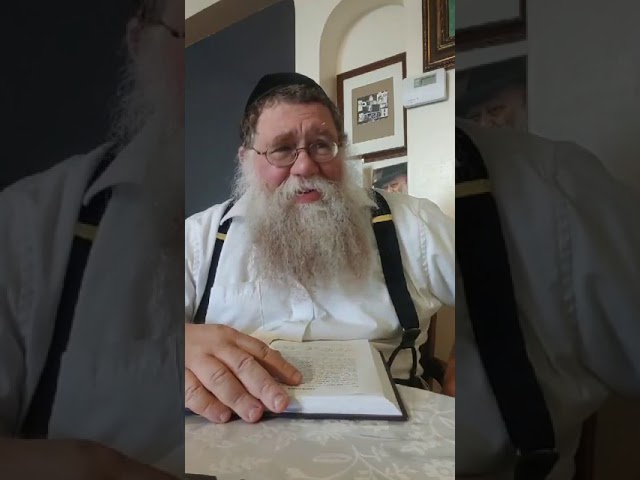 Practical Chasidus w Rabbi Chaim Dalfin - Maamar Choviv 1940 #6