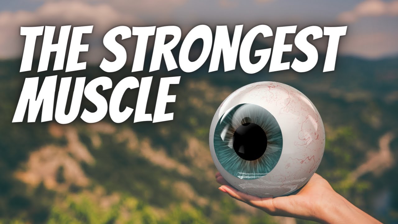 The Strongest Muscles | Rabbi Shlomo Farhi