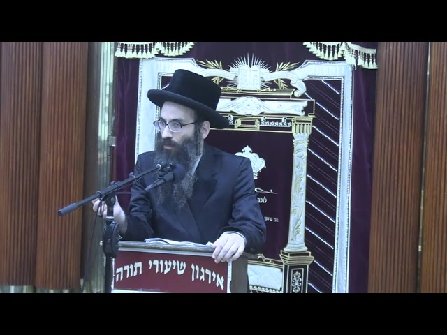 עצות לשלום בכלל ישראל בין איש לרעהו, במשפחות ובקהילות -  ר' לוי יצחק האגער שליט"א