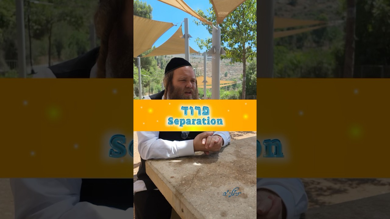 פרוד - separation