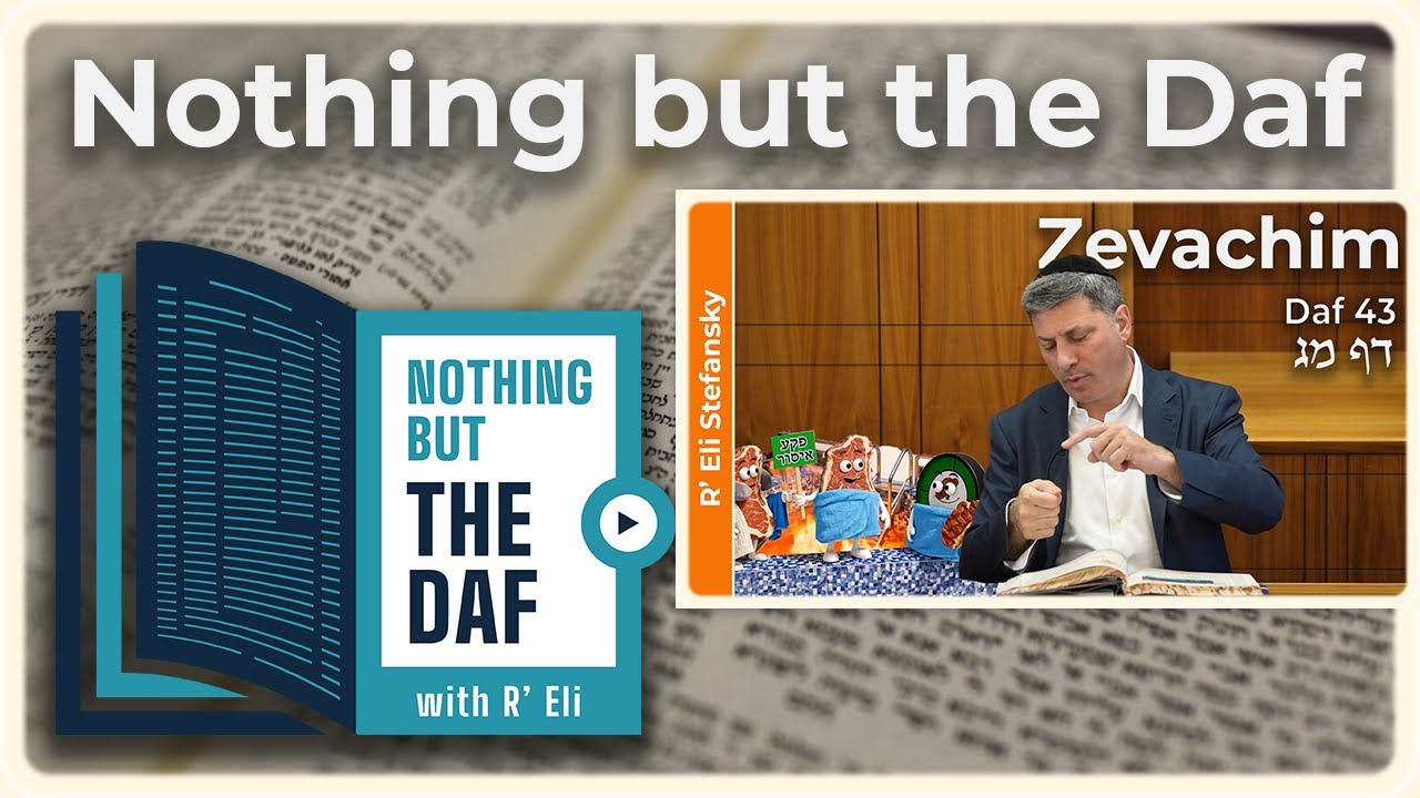 CHAZARAH - Zevachim Daf 43 | "Nothing but the Daf" with R' Eli Stefansky