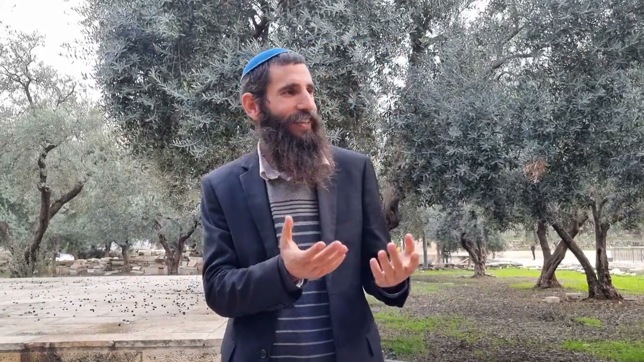 האם מוסרי להרוג את האזרחים בעזה במלחמה?