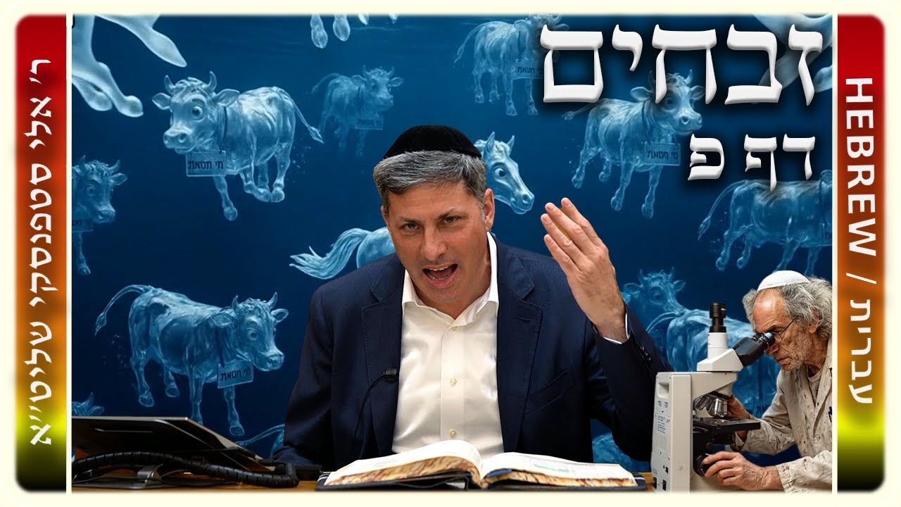מרכז דף יומי - זבחים דף פ. - ר' אלי סטפנסקי שליט"א
