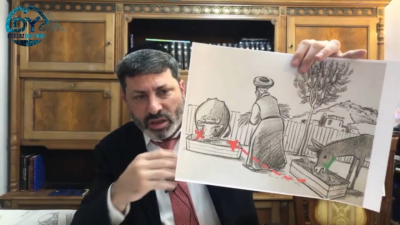 Daf Yomi Shabbos Daf 141 by R’ Eli Stefansky