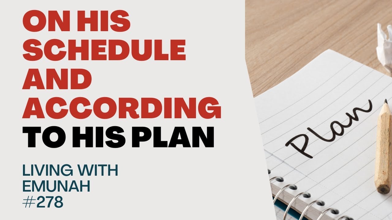 Living With Emunah (Part 278) - On His Schedule and According to His Plan