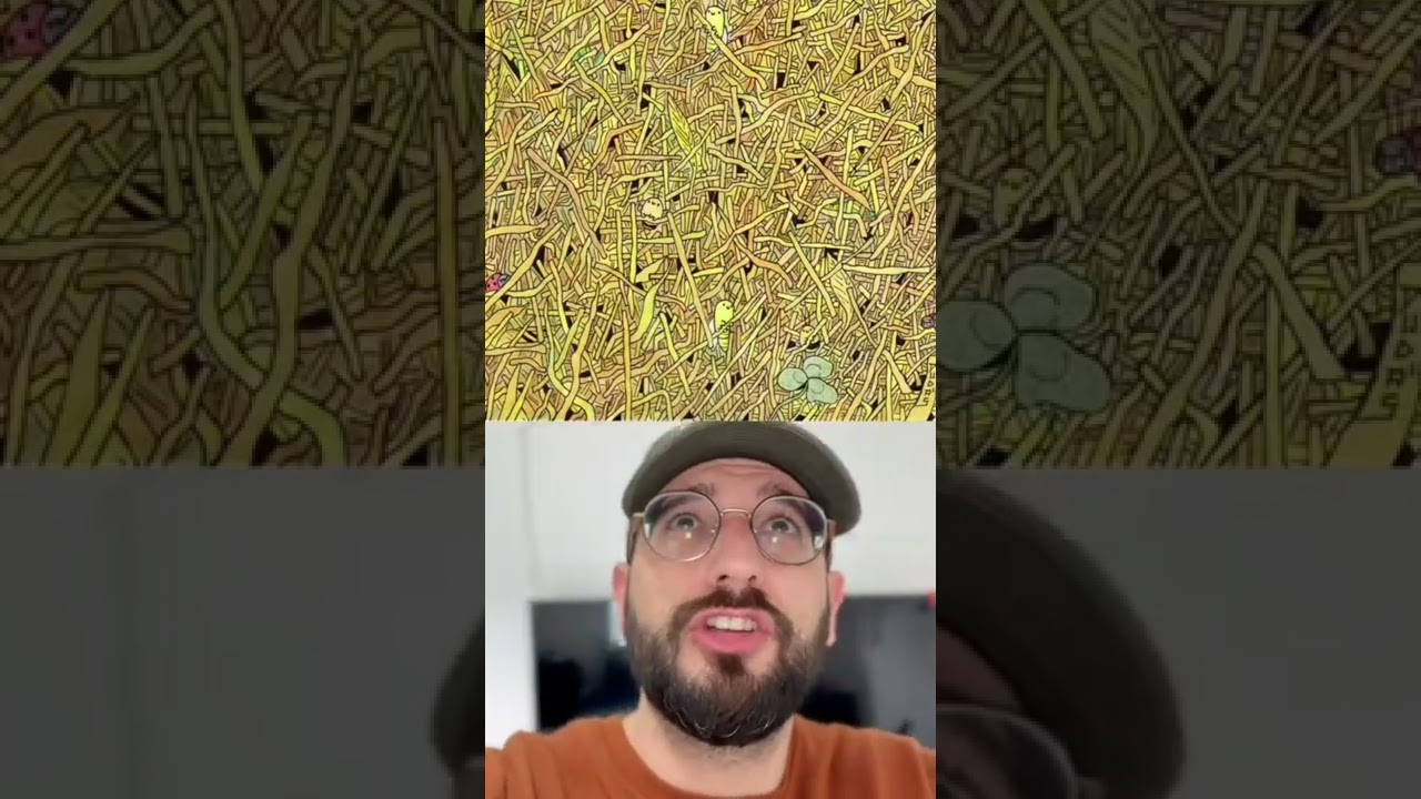 הסיכה המטורפת