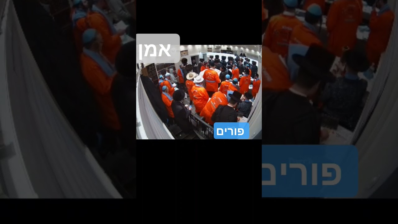#אשוואר #פורים #מגילה #youtube #לחיים