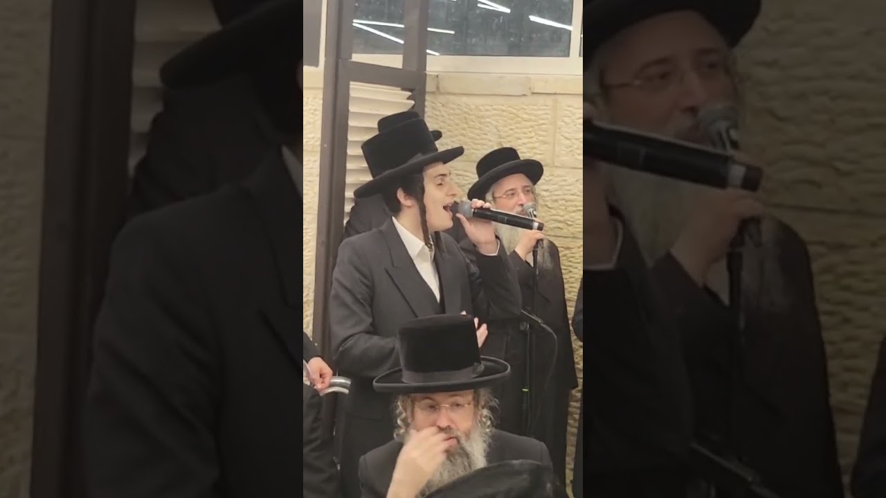 תורת השם תמימה במעמד סיום כתיבת ספר תורה עם כ״ק אדמו״ר מבאיאן שליט״א מוטי שטיינמץ, מלכות, דודי פלדמן