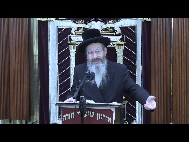 מלאכת זורע בשבת - ר' אברהם שפיטצער שליט"א