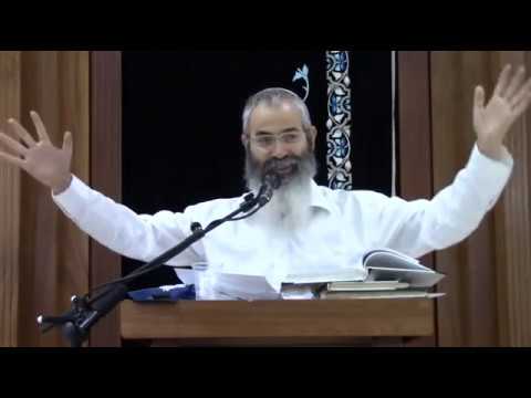 מראה וחזון - הרב יהודה מלמד
