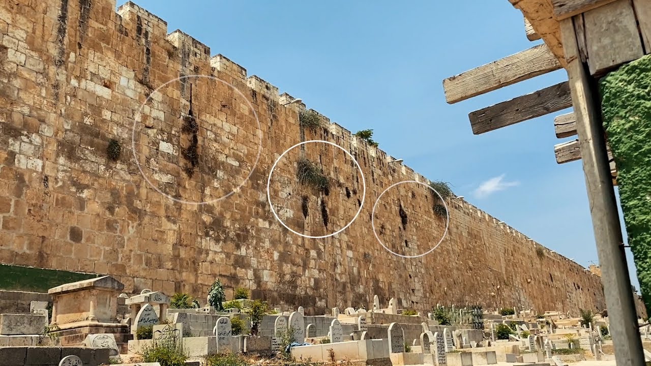 God's NAME Appears on the Temple Mount? We went to check (Hosted by "Cry For Zion")