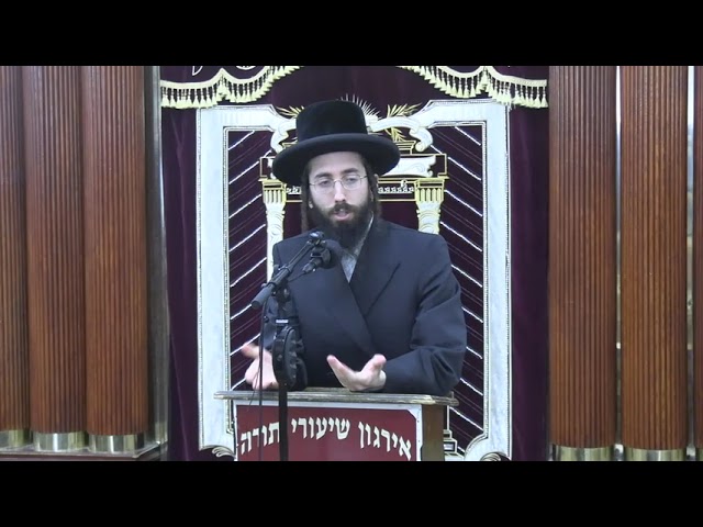 עזרת נשים בהלכה - ר' אלעזר ניסן רובין שליט"א