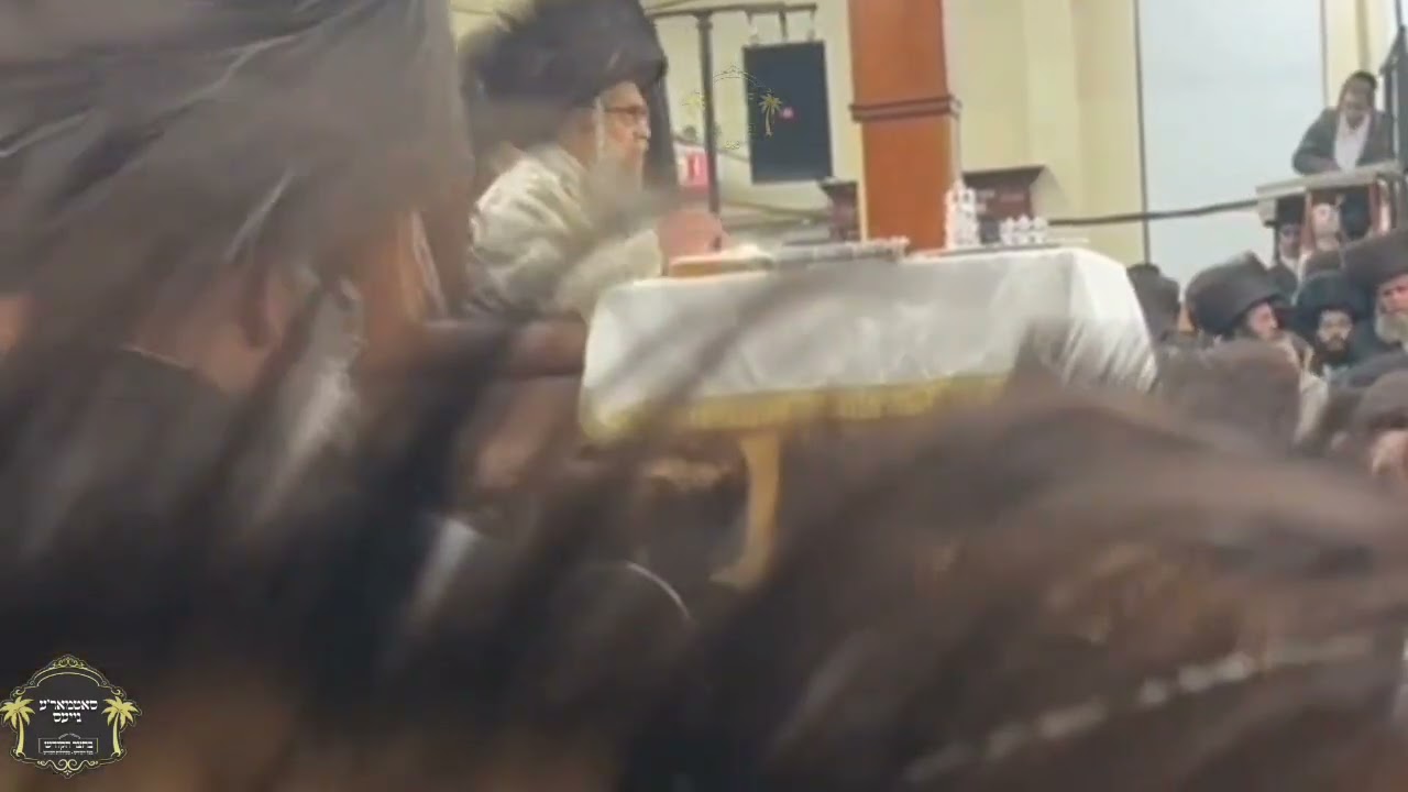 טיש משתה היין בחצה"ק סאטמאר