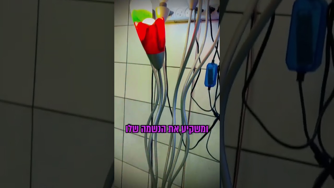 האסלה האיכותית בישראל