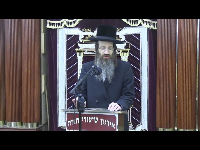 כבוד הספרים ואיזה שמות מחויבים לגנזם - ר' אברהם צבי פריעדמאן שליט"א