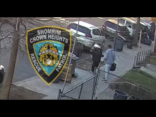 Unprovoked Assault in Crown Heights
