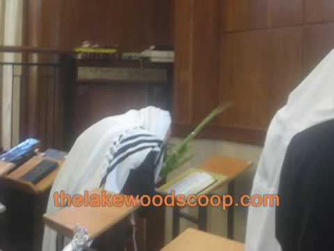 BMG Mashgiach Reb Matisyahu Solomon Shlita Lulav