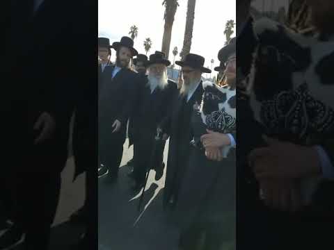כ"ק אדמו"ר מסאטמאר אין פאלם ספרינגס