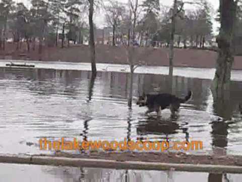Lake Carasaljo Overflowing Due To Massive Storm