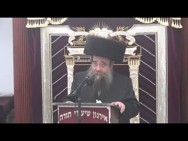 שאלות ותשובות בהלכות שבת - ר' חיים בן ציון ראזענבערג שליט"א