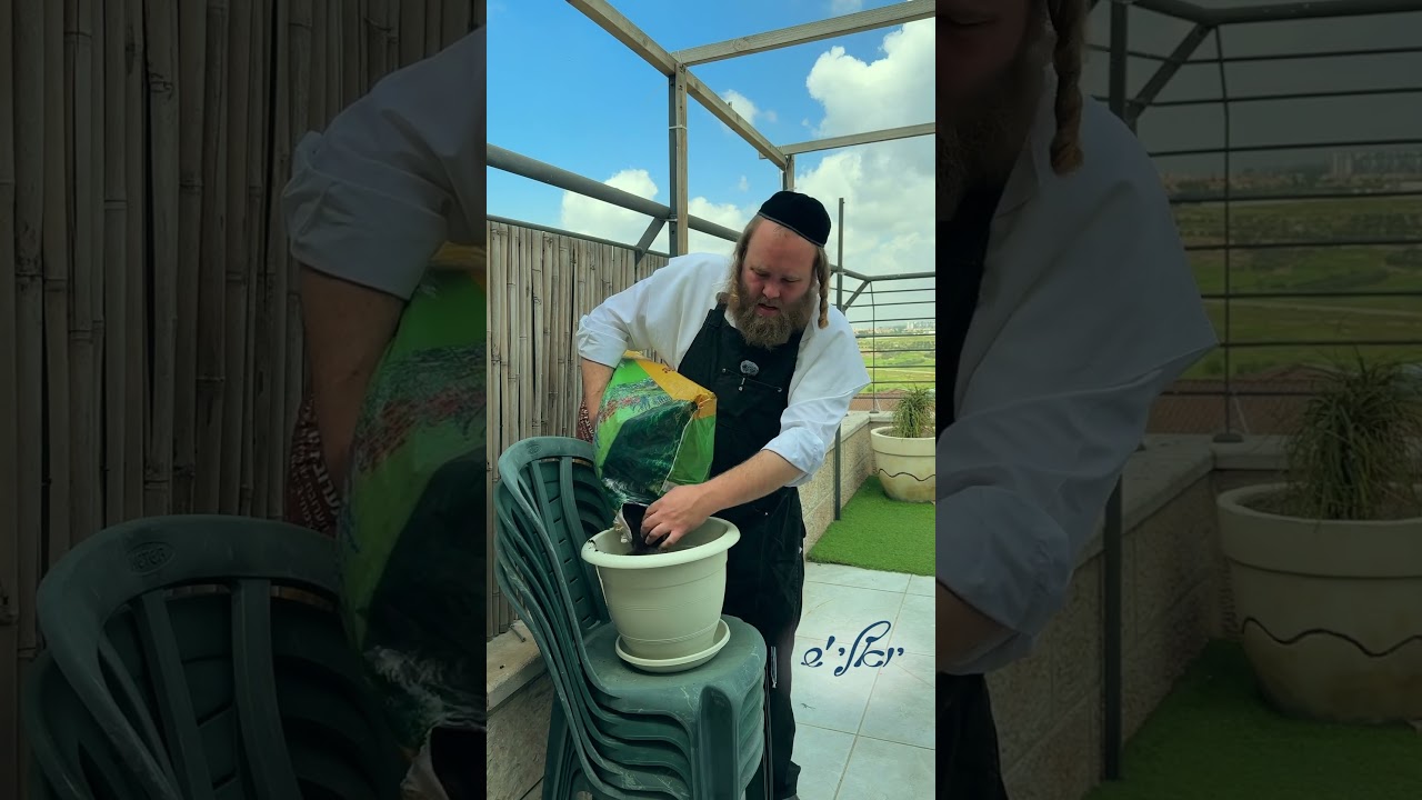 וואס איז אמת