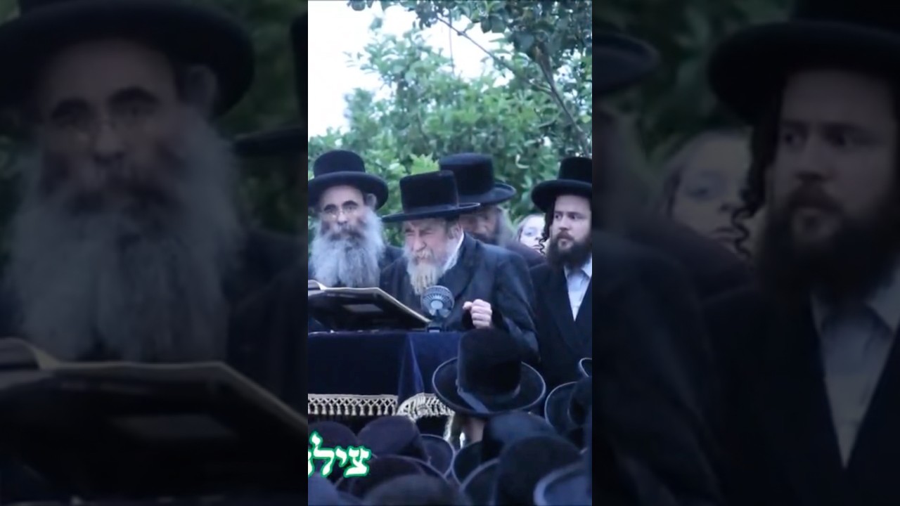 Rachmistrivka Rebbe At Birkas Ha'ilons 2025 | האדמו"ר מרחמסטריווקא שליט”א בברכת האילנות תשפ”ה