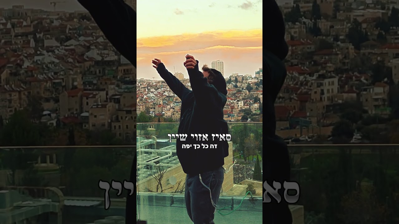 שרולי גרין - הצילה נפשי X דיין וועלט X הייליגע מאמע (cover by meni music)              #srulygreen