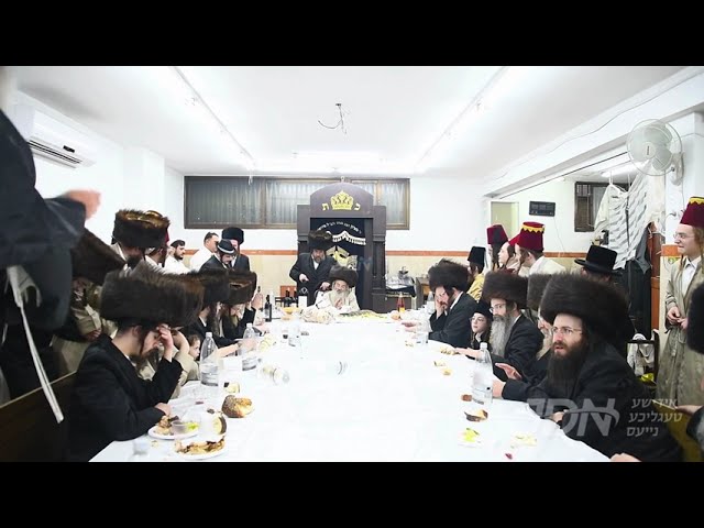 פורים אין חצר הקודש לעלוב