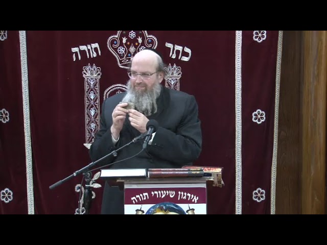 BRINGING ANCIENT JEWISHLIFE & TORAH JUDAISM ALIVE R 'SHIMON DEUTSCH of the Living Torah Museum
