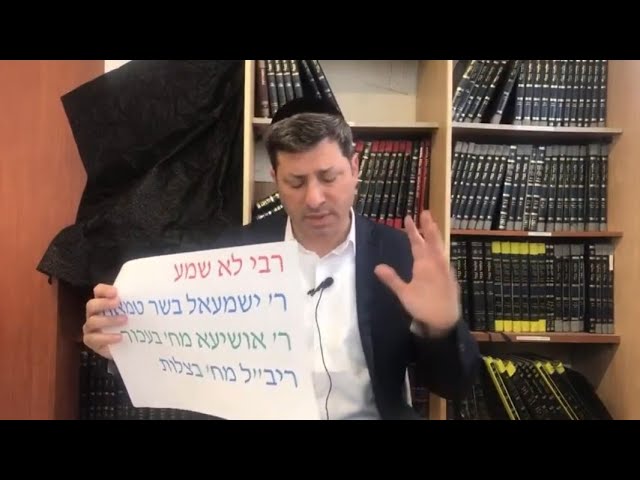 Daf Yomi Niddah Daf  25 by R’ Eli Stefansky