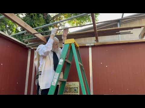 Harav Yisroel Neuman putting schach on his sukkah!