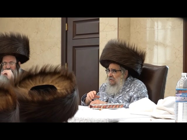 שמחת הברית פון נכד כ"ק אדמו"ר מסאטמאר שליט"א