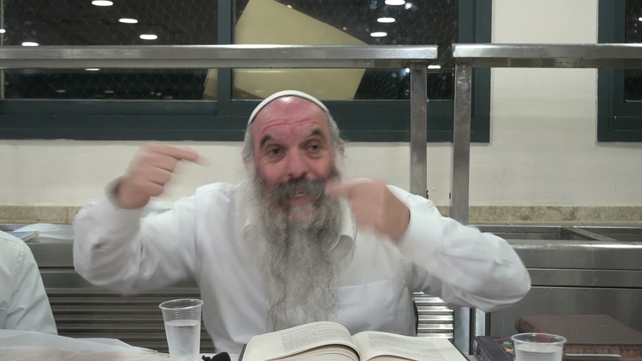 התייחסות למצב הפוליטי | דרוש לפרשת חוקת | הרב יהושע שפירא