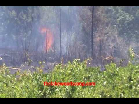 FD Battles Brush Fire On Brook Road