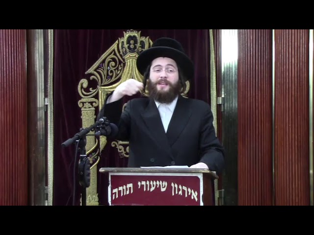 דיני גשמים ושלג בשבת - הרה"ג ר' יוסף פאללאק שליט"א