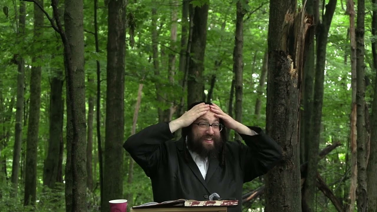 ר' יואל רוטה - שיעור ג ליק''מ ח''א סימן ב' - ד' פנחס תשפ''ד - R' Yoel Roth