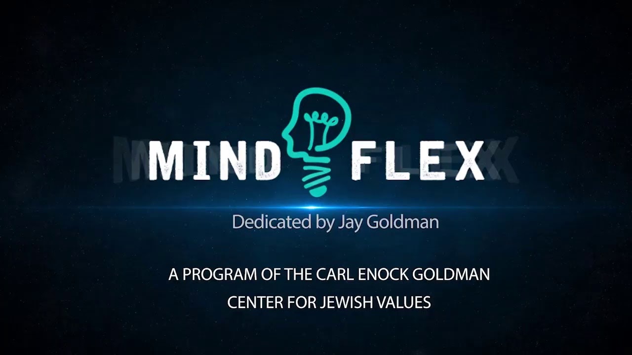 MIND FLEX Yaakov Salomon Discovery  Control