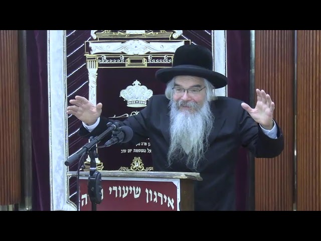 שיעור כללי בהלכות שבועות - ר' אברהם חיים שטיינווארצעל שליט"א