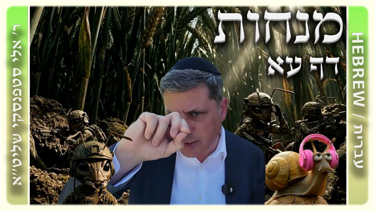 מרכז דף יומי - מנחות דף עא. - ר' אלי סטפנסקי שליט"א