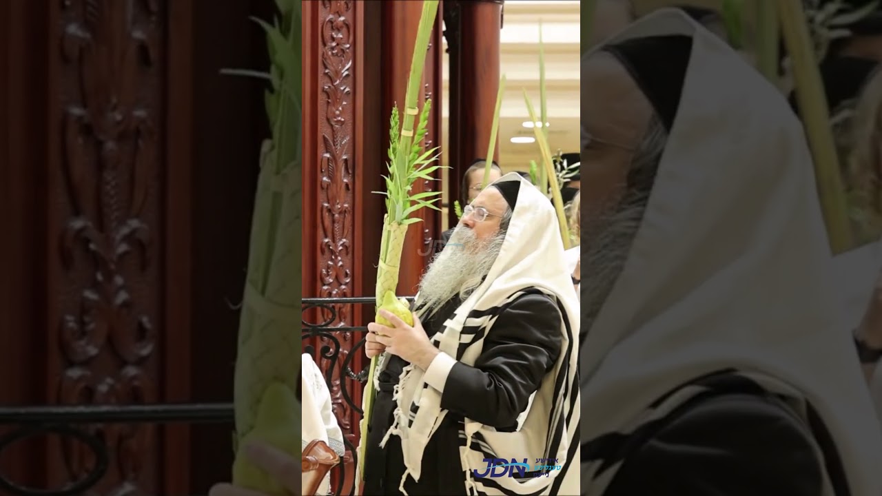 האדמו"ר מטאלנא ביי הושענות