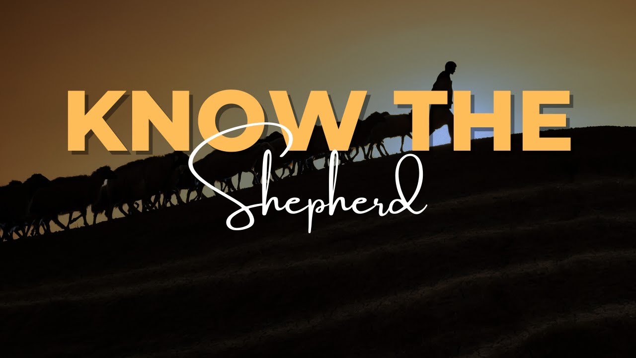 Living With Emunah (Part 330) - Know the Shepherd