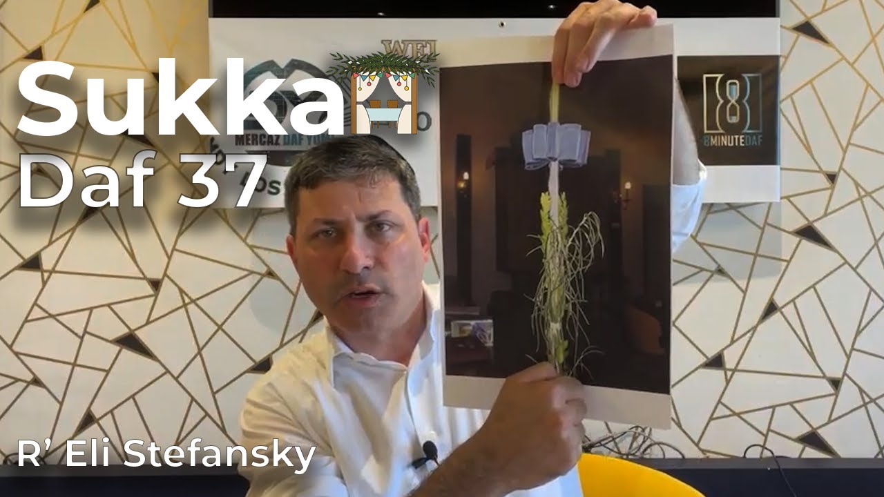 Daf Yomi Succah Daf 37 by R’ Eli Stefansky